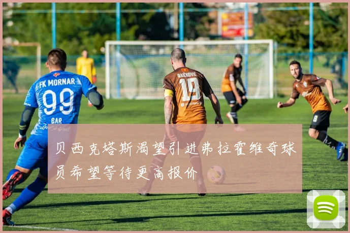 贝西克塔斯渴望引进弗拉霍维奇球员希望等待更高报价